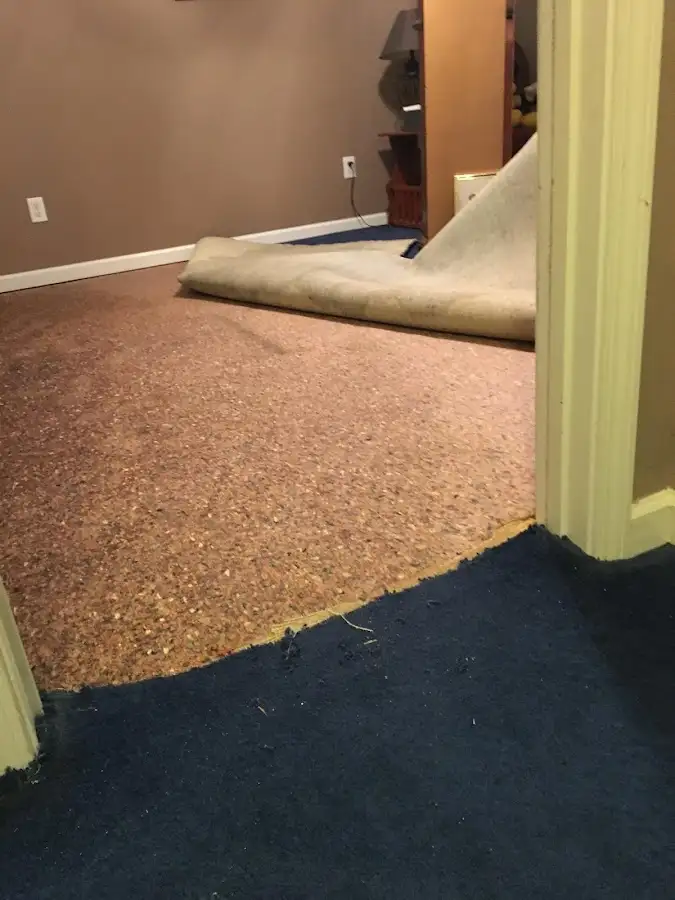 Carpet pad removal revealing water damage during Water Mitigation Services in Easton